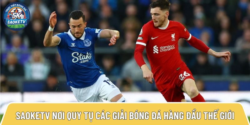 saoketv noi quy tu cac giai bong da hang dau the gioi 1 7